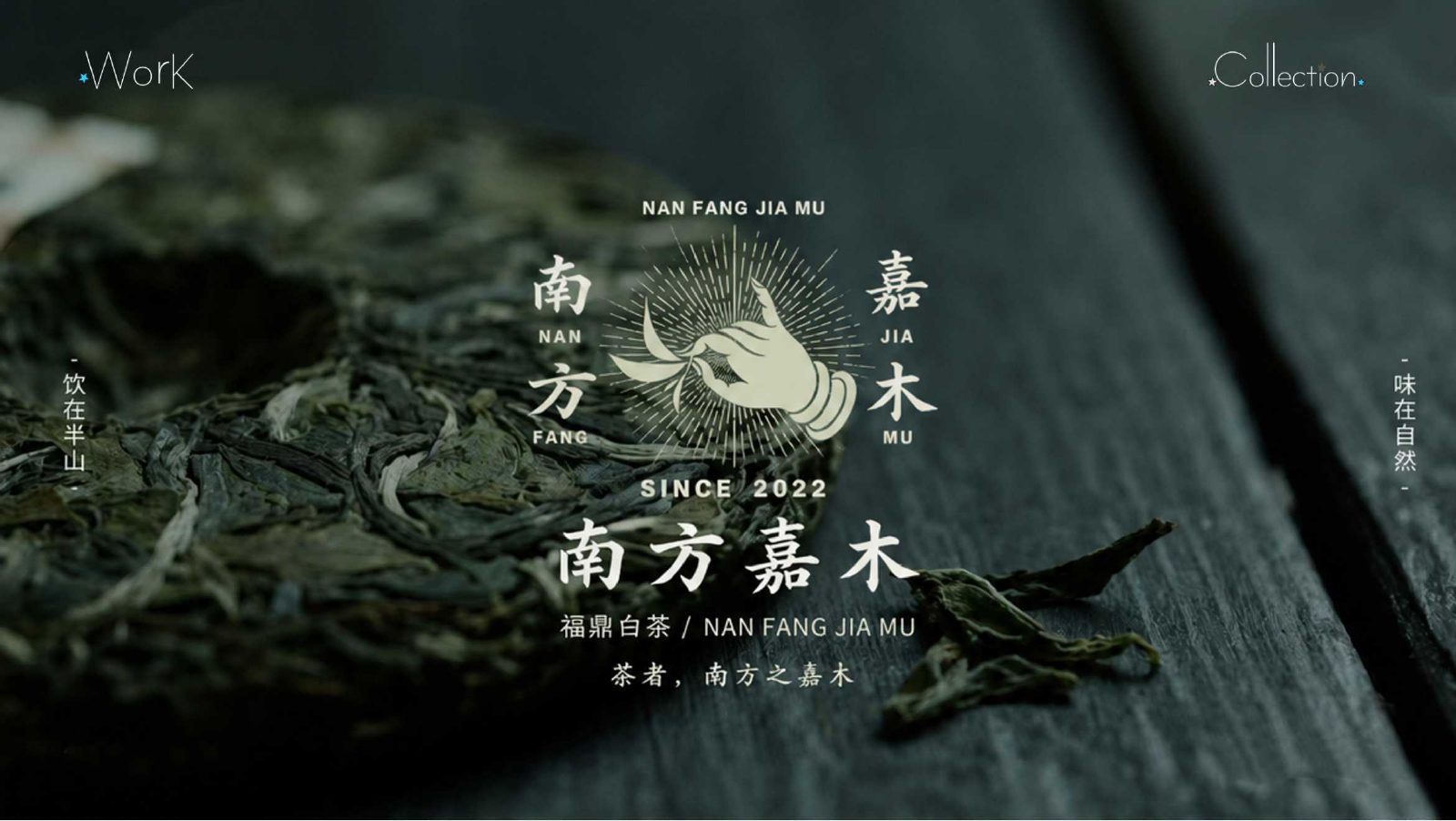 作品集第 16 页