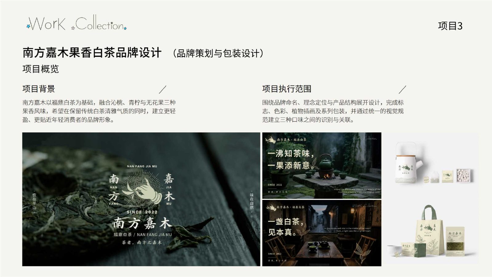作品集第 17 页