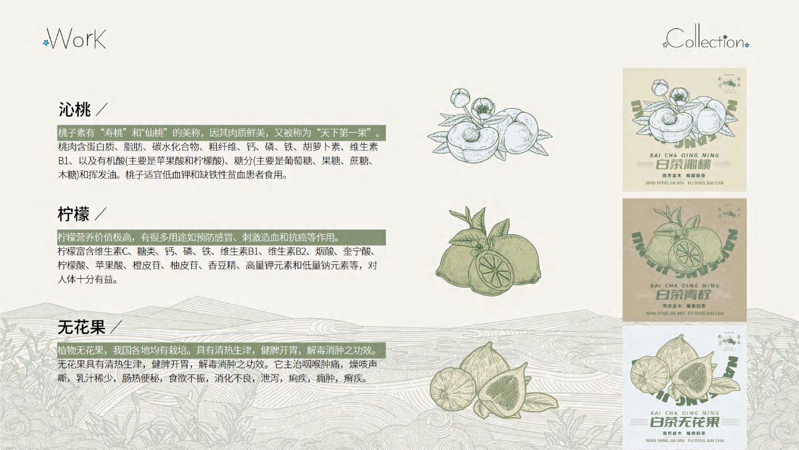 作品集第 19 页