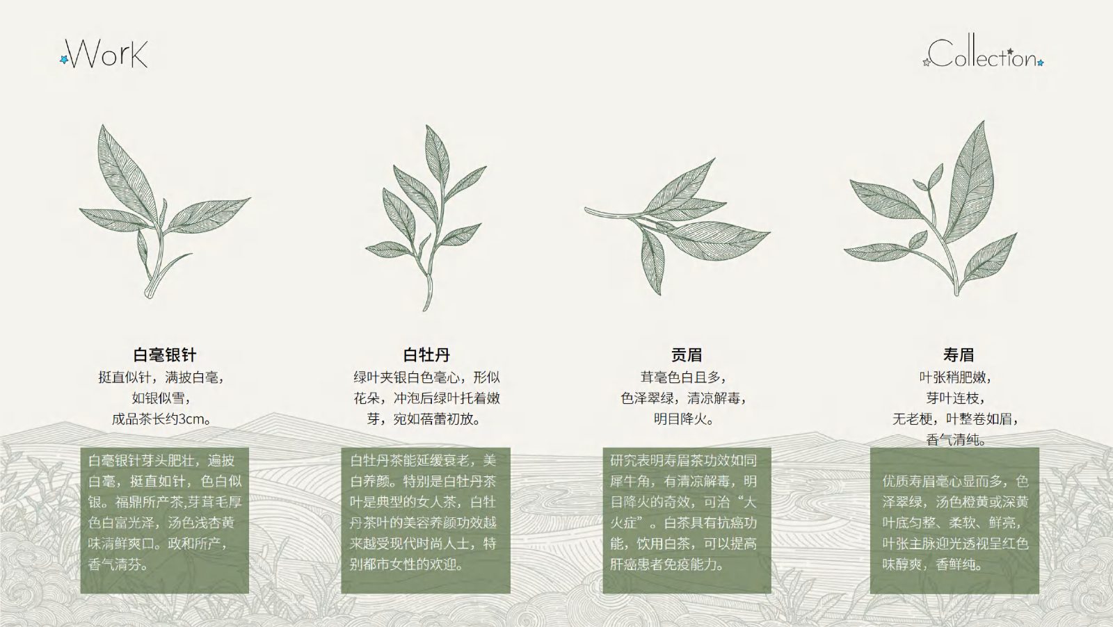 作品集第 20 页